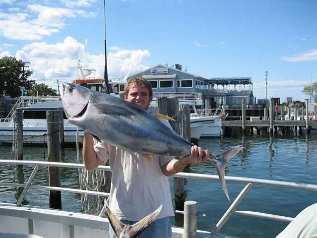 tuna201652011_jpg